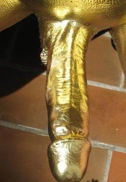 Golden Black Cock