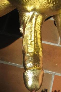 Golden Black Cock