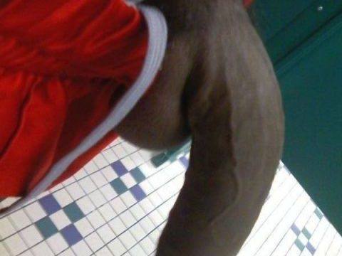 Big Black Cock Sprung