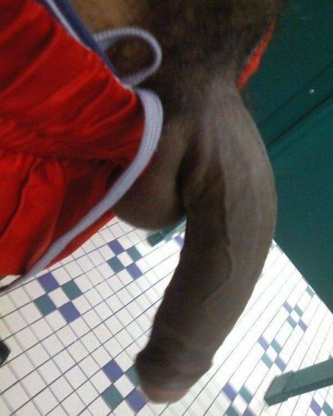 Big Black Cock Sprung