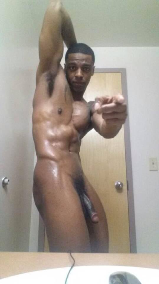 Black Bull Posing In The Mirror