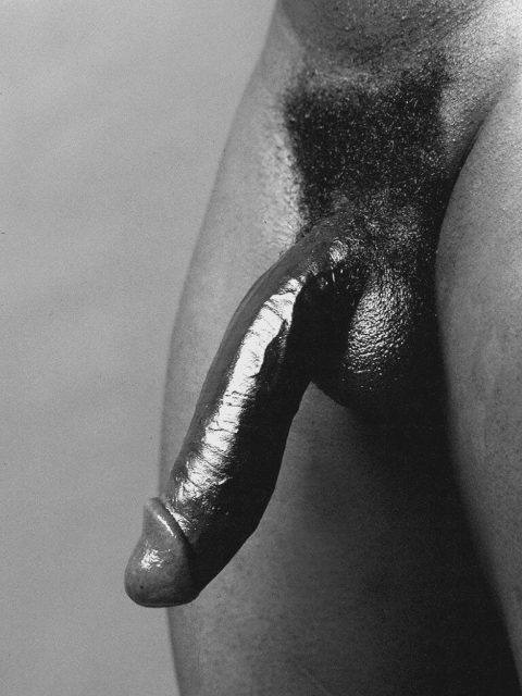 Shiny Black Dick