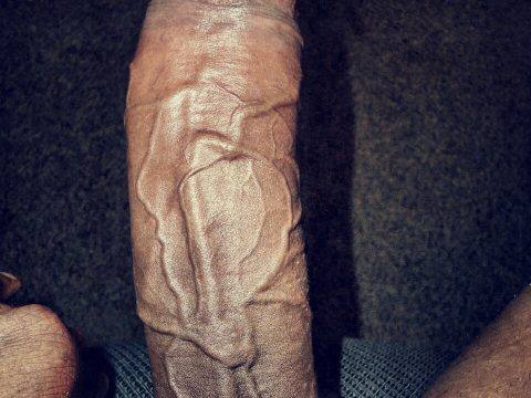 Massive Long 12 Inch Black Cock