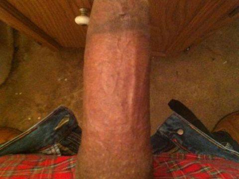 8 Inch Half Black Cock