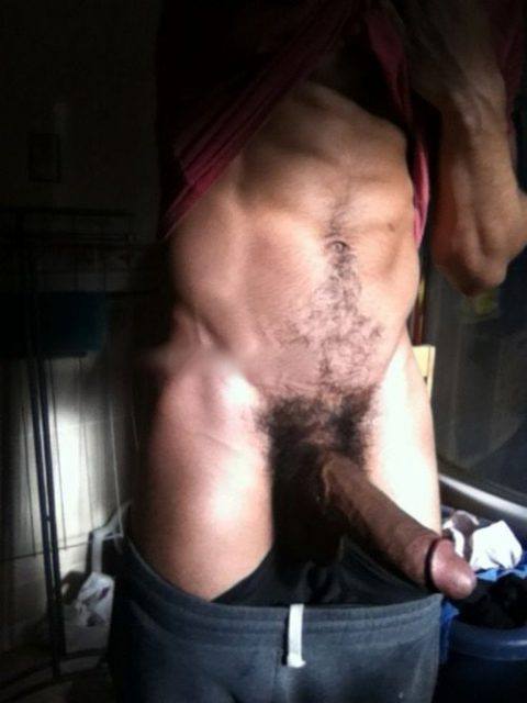 Black Bull On The Loose